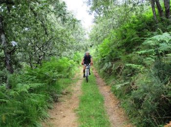 Trail Mountain bike Ostabat-Asme - Le Sentier des Contrebandiers en VTT - De Ostabat à St Jean Pied de Port  - Photo