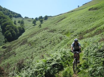 Excursión Bici de montaña Urepel - Le Sentier des Contrebandiers en VTT - De Urepel à St Etienne de Baïgorry - Photo