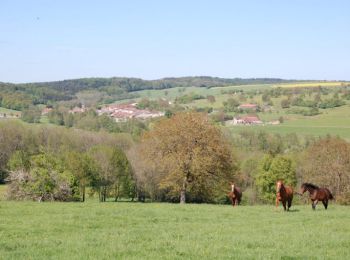 Tocht Paard Isches - Circuit équestre des Marches de Lorraine (Grande boucle). - Photo