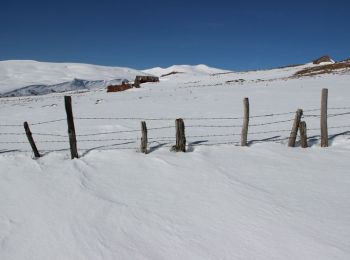 Tocht Sneeuwschoenen Paulhac - Le Puy de la Jambe et le bourg de Prat de Bouc - Photo