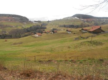 Tour Wandern Büssing - Circuit de la Borne des 3 communes - Bussang - Photo