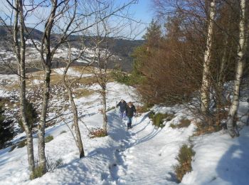 Tocht Sneeuwschoenen Bussang - La boucle Sud de Ste Barbe - Bussang - Photo