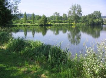 Trail Walking Saint-Philbert-sur-Risle - Autour de Saint-Philbert-sur-Risle - Photo