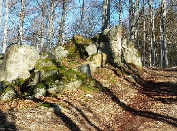 Tocht Stappen Saint-Nicolas-des-Biefs - Ronde boisée des rochers et des ruisseaux - La Verrerie - Photo