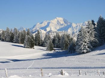 Tour Schneeschuhwandern Viuz-la-Chiésaz - Raquettes au Semnoz - Leschaux - Photo