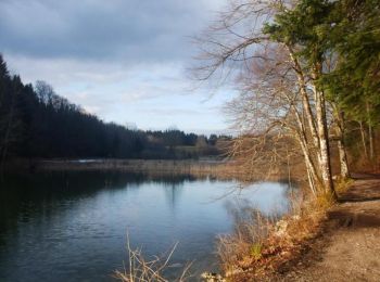 Tour Wandern Le Frasnois - Lac le Grand Maclu - Pic de l'Aigle - Photo