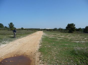 Tocht Mountainbike Le Rove -  Le Rove - Carry le Rouet - Photo