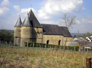 Tocht Stappen Rouvroy-sur-Audry - Marche des vignerons de Servion - Photo