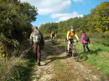 Trail Walking Lixing-lès-Rouhling - Sur les hauteurs de Grosbliederstroff - Lixing lès Rouhling - Photo