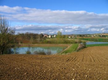 Excursión Bici de montaña Laplume - Randonnée dans les coteaux du Bruilhois- Laplume - Photo