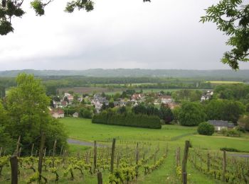 Randonnée Vélo Coucy-le-Château-Auffrique - Trésors cachés en forêt de Saint-Gobain - 50 km - Coucy le Château Auffrique - Photo
