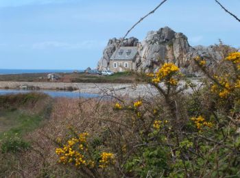 Tour Wandern Plougrescant - Grand tour de Plougrescant - Photo