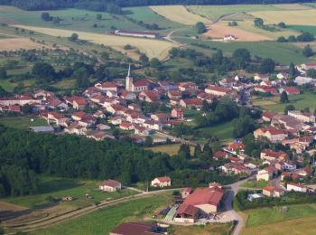 Randonnée Marche Lerrain - Sentier des Hauts de Chaume - Lerrain - Photo