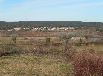 Tour Wandern Vers-Pont-du-Gard - La Barque Vieille - Vers Pont du Gard - Photo