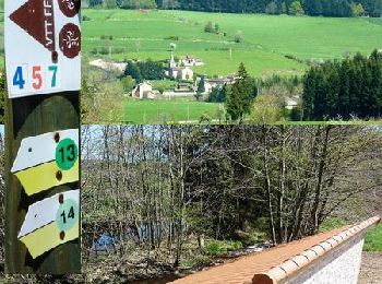 Tour Wandern La Tuilière - La Croix de l'Epinat (circuit N°14) - La Tuilière - Photo