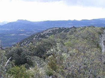 Tour Wandern La Penne-sur-l'Ouvèze - Arrête du mont Bluye - Pierrelongue - Photo