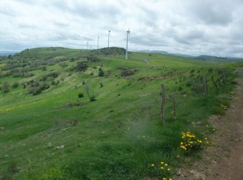 Trail Walking Rentières - Rentières en Cézalier - Photo