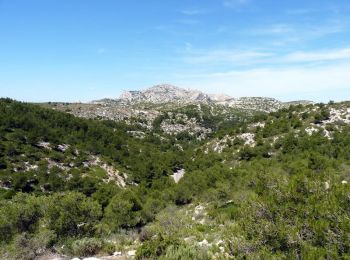 Excursión Bici de montaña Marsella - Les Calanques - Campagne Pastré (Marseille)  - Photo