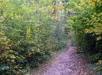 Trail Walking Lagny-sur-Marne - La Thorignienne - Thorigny-sur-Marne - Photo