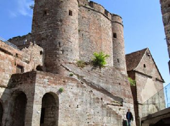 Randonnée Marche Lichtenberg - Autour du château de Lichtenberg - Photo