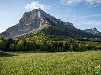 Trail Walking Apremont - Le Mont Joigny, 1553m - Apremont - Photo