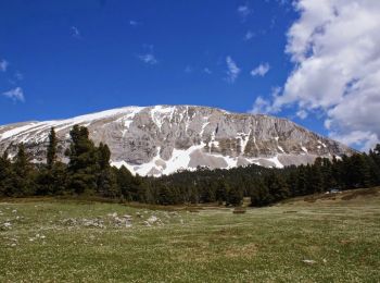 Randonnée Marche Saint-Andéol - Les Hauts Plateaux du Vercors en âne - Etape 2 - Photo