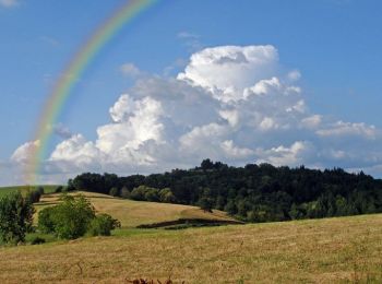 Tocht Stappen Corrèze - Entre les rivières Corrèze et Menaude - Corrèze - Photo