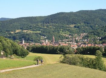 Tour Wandern Stoßweier - De Munster aux 3 Fours (Retour) - Stosswihr - Photo