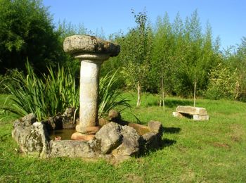 Trail Walking Chamberet - Balade Chambertoise - Chamberet - Photo