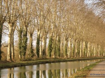 Trail Mountain bike Damazan - La bastide du Canal de Garonne - Damazan - Photo