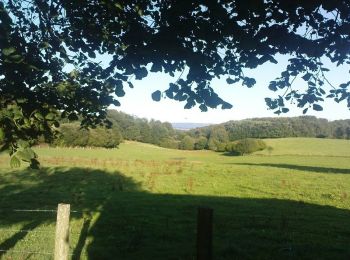 Trail Walking Chamberet - Puy Saumon - Chamberet - Photo