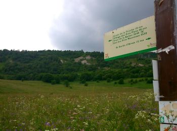 Tocht Stappen Saint-Sorlin-d'Arves - Les Prés Plans  - Photo