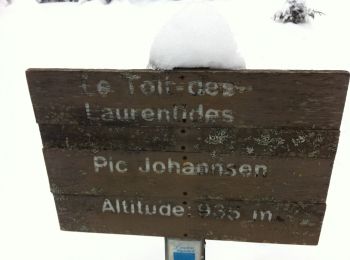 Excursión Raquetas de nieve Mont-Tremblant - Pic Johannsen - Photo