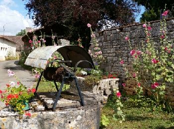 Excursión Senderismo La Forêt-de-Tessé - La rando des Châtaignés centenaires - Photo