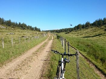 Trail Mountain bike Laubert - Truc de Fortunio - Photo