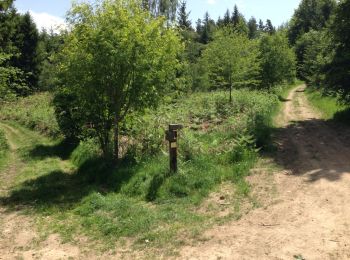 Tocht Mountainbike Saint-Bonnet-le-Château - St Bonnet le Chateau - Photo