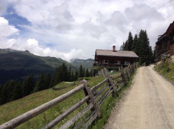 Excursión Bici de montaña Davos - Clavadeler - Ischalp - Photo