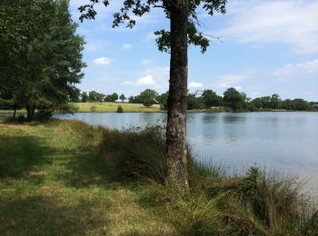 Tour Fahrrad Availles-Limouzine - Le circuit - Photo