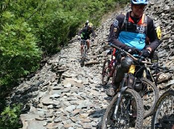 Trail Mountain bike Railleu - la couillue - Photo