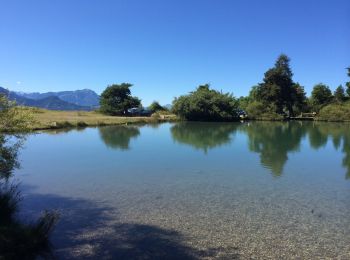 Trail Walking Saint-Apollinaire - lac St appolinaire  - Photo