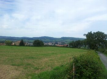 Excursión Bici de montaña Laizé - Laizé-Cluny-140806am - Photo