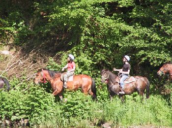 Trail Equestrian Bouillon - Frahan ferme pour enfants vers Le Jockey Anloy - Photo