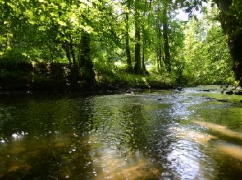 Tocht Stappen Chimay - Bois de Blaimont - Circuit Natura 2000, des sites qui valent le détour - Ht3 - Photo