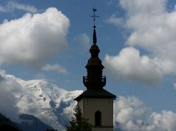 Tour Mountainbike Chamonix-Mont-Blanc - balcons N S la Tour - Photo
