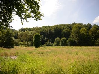 Tocht Stappen Attert - Nothomb - Circuit Natura 2000, des sites qui valent le détour - Lx14 - Photo