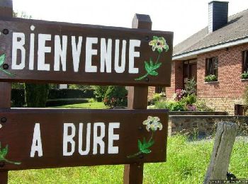 Percorso Marcia Tellin - Bure - Promenade entre Ardenne et Famenne - Photo