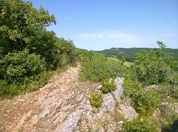 Tocht Andere activiteiten Penne - saint Paul de mamiac- Bruniquel  - Photo