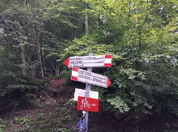 Trail Walking Schignano - la concassées di schignano - Photo