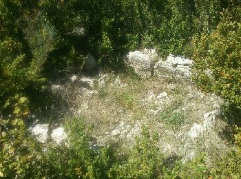 Tocht Stappen Aubenas - Ville dolmens - Photo