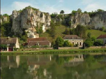 Tocht Stappen Merry-sur-Yonne - BMF-140823 - Vincelles-RocherSaussois - Photo